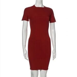 NWOT Alexander Wang Dress
